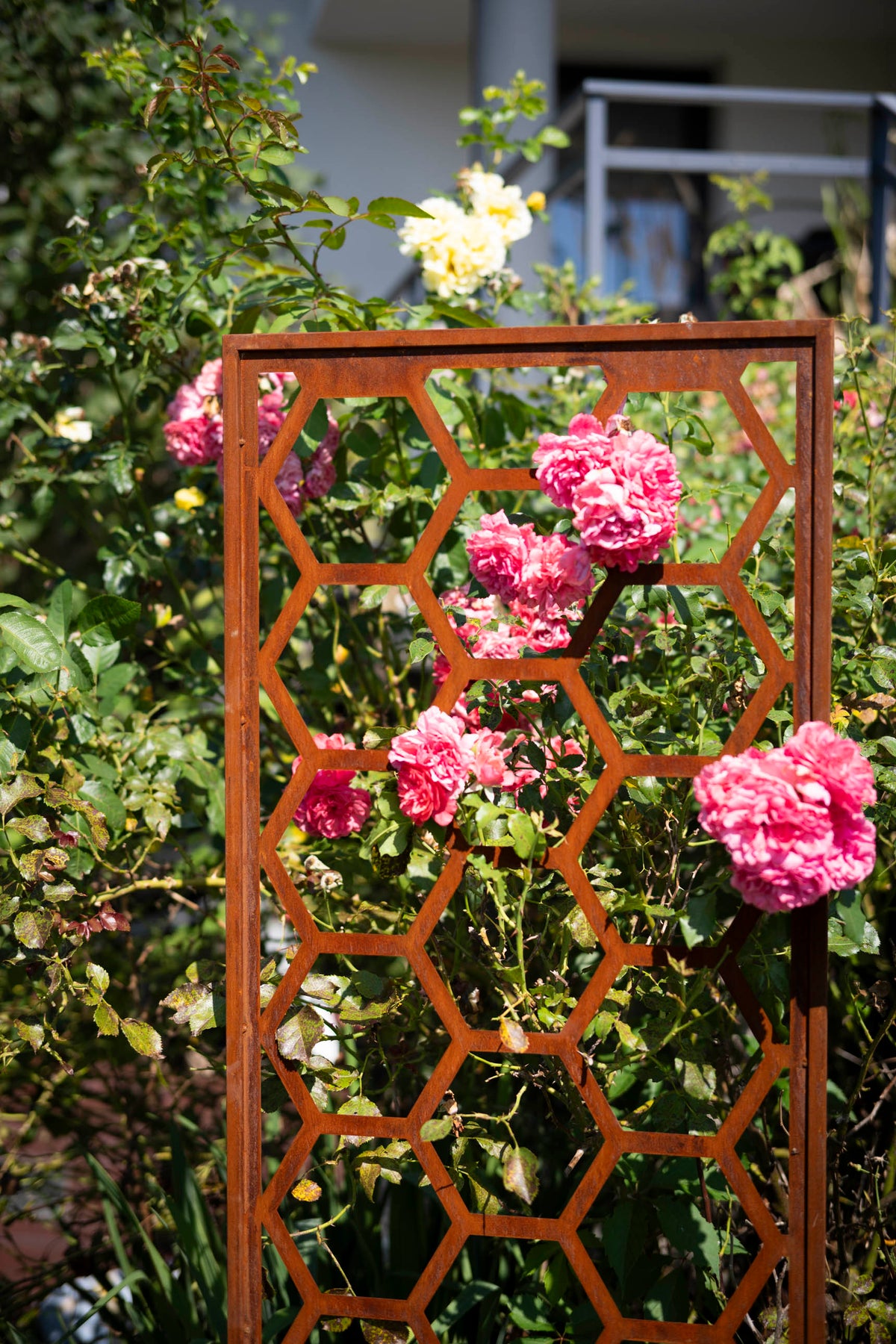 Panel ogrodowy Corten - Parawan z plastrem miodu - 160 x 50 cm