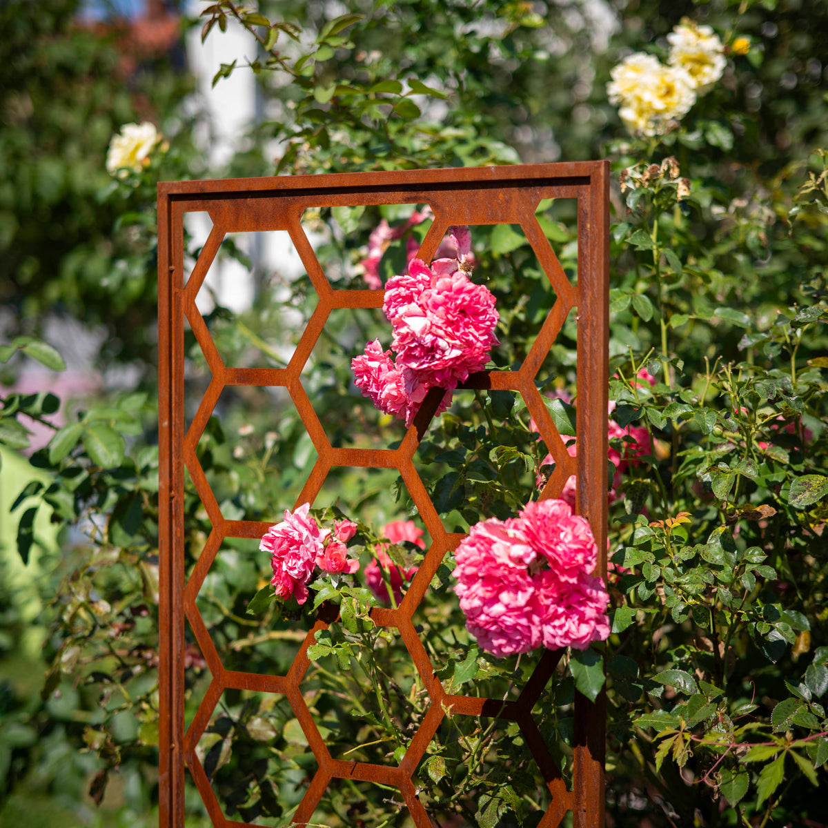 Panel ogrodowy Corten - Parawan z plastrem miodu - 160 x 50 cm