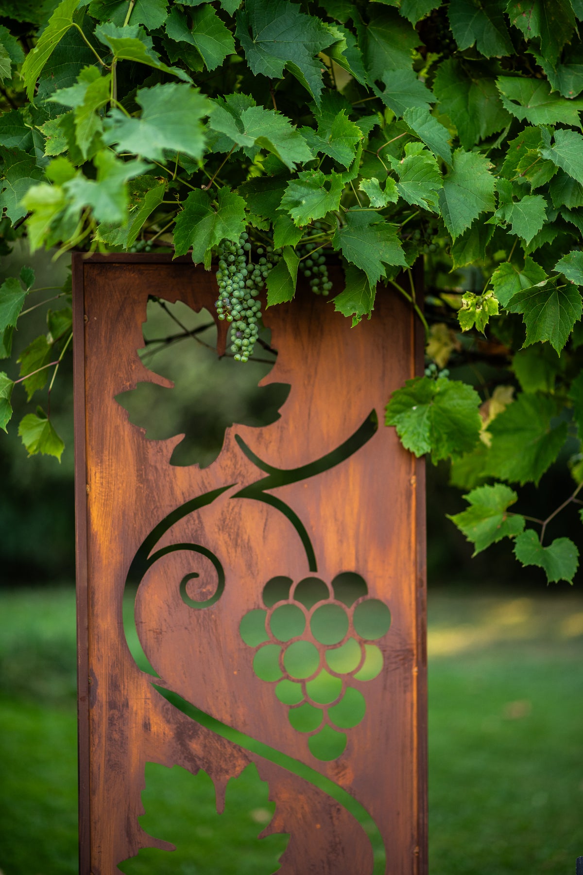 Panel ogrodowy Corten - Parawan z winoroślą 160 x 50 cm