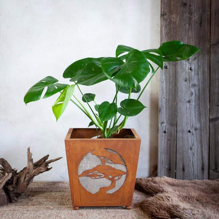 Rustykalna Doniczka na Bonsai - Duża Donica w Stylu Rdzy - zdjęcie 2 - Kapaga