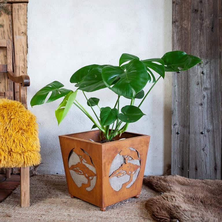 Rustykalna Doniczka na Bonsai - Duża Donica w Stylu Rdzy - zdjęcie 3 - Kapaga