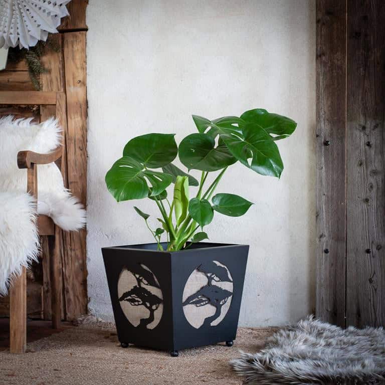 Duża Czarna Donica Bonsai w Stylu Rustykalnym - Elegancka Doniczka na Drzewko Bonsai - zdjęcie 5 - Kapaga