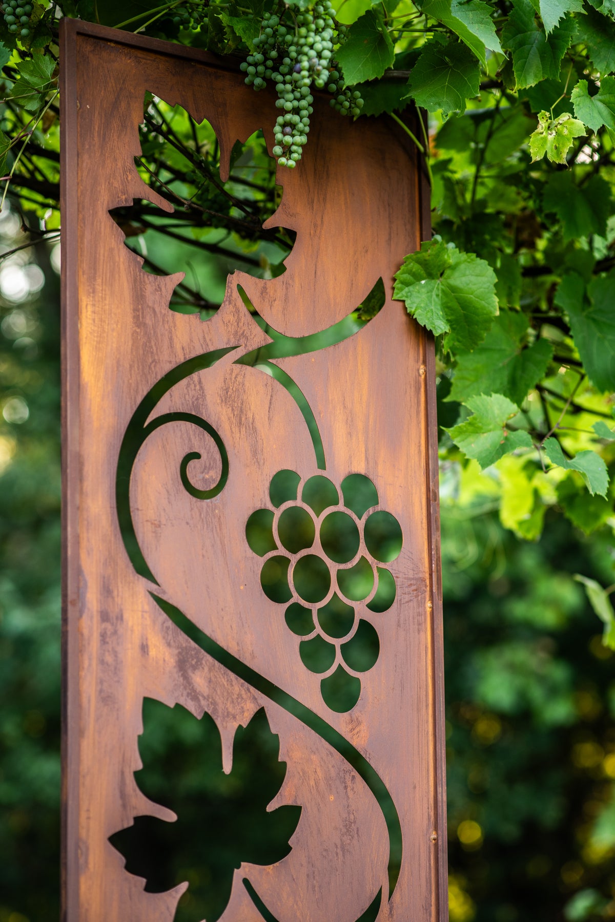 Panel ogrodowy Corten - Parawan z winoroślą 160 x 50 cm