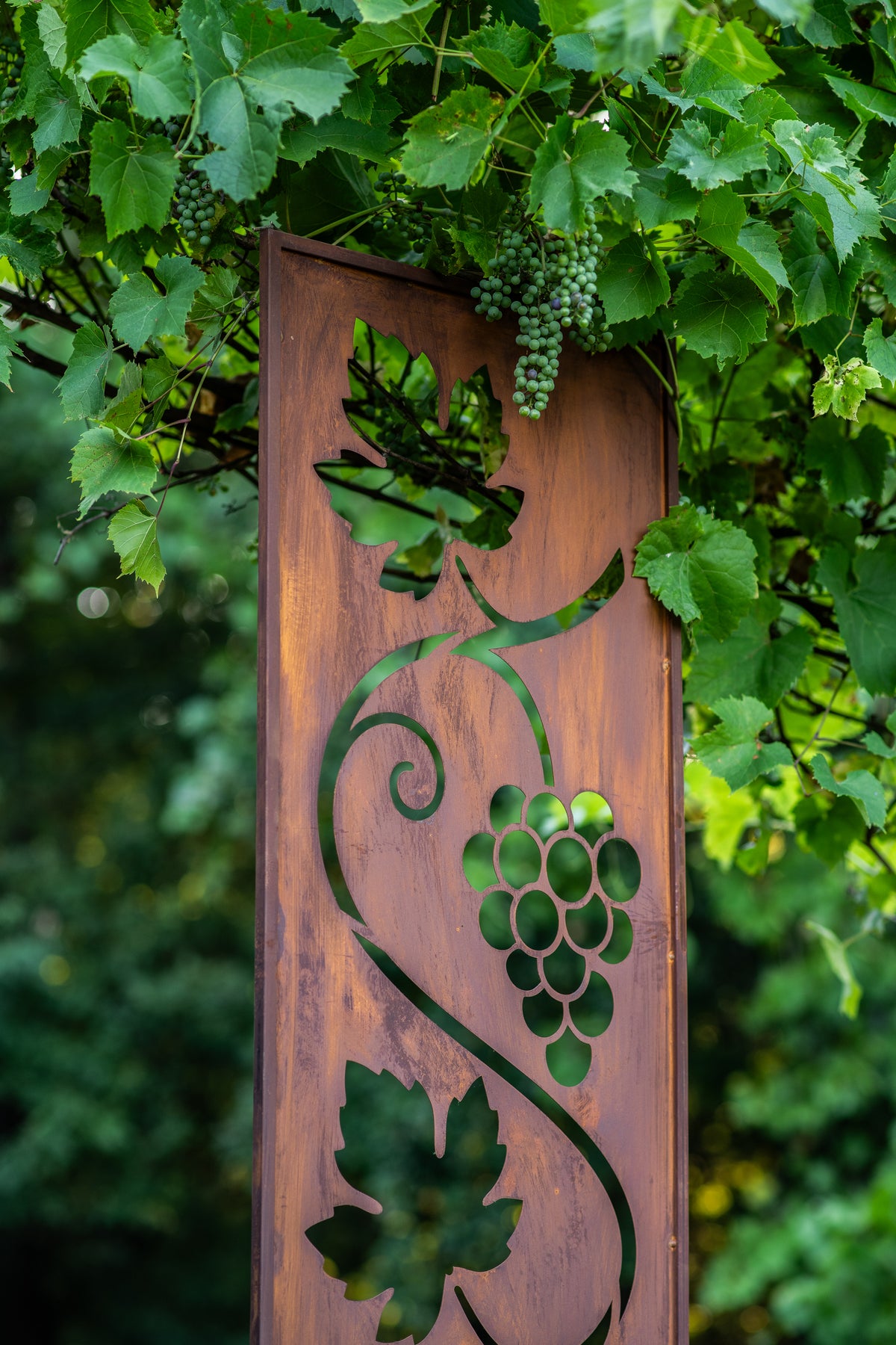 Panel ogrodowy Corten - Parawan z winoroślą 160 x 50 cm