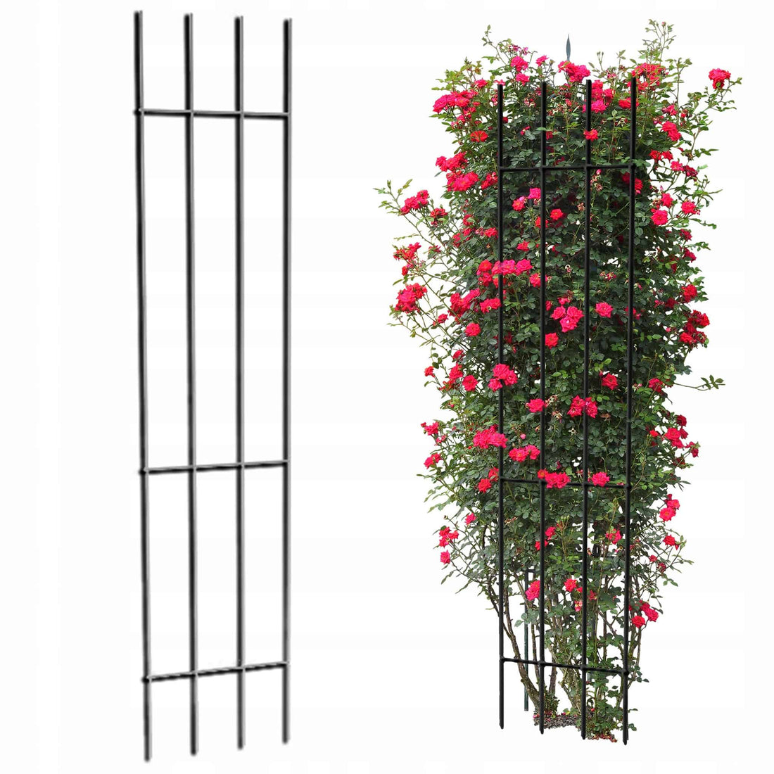 Metalowa Kratka Drabinka Do Roślin Pnących 150 cm - Czarna Podpora dla Róż i Kwiatów - Kapaga