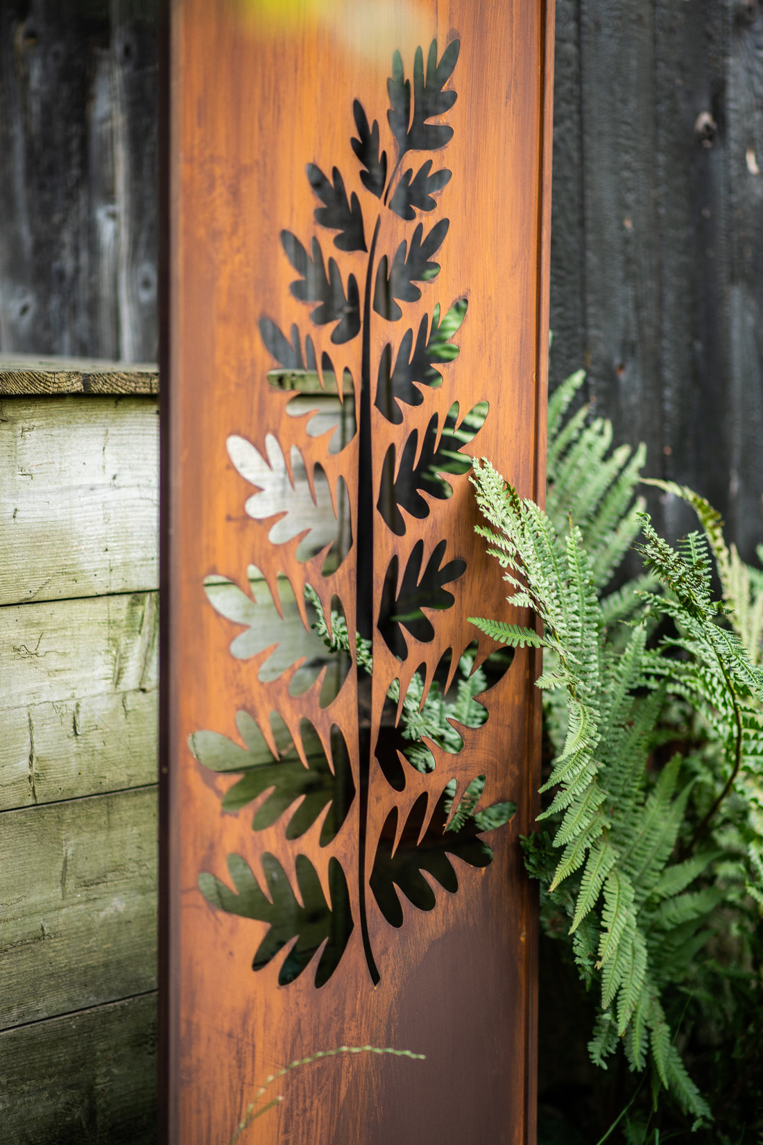Panel ogrodowy Corten - Parawan z dużą paprocią 160 x 50 cm