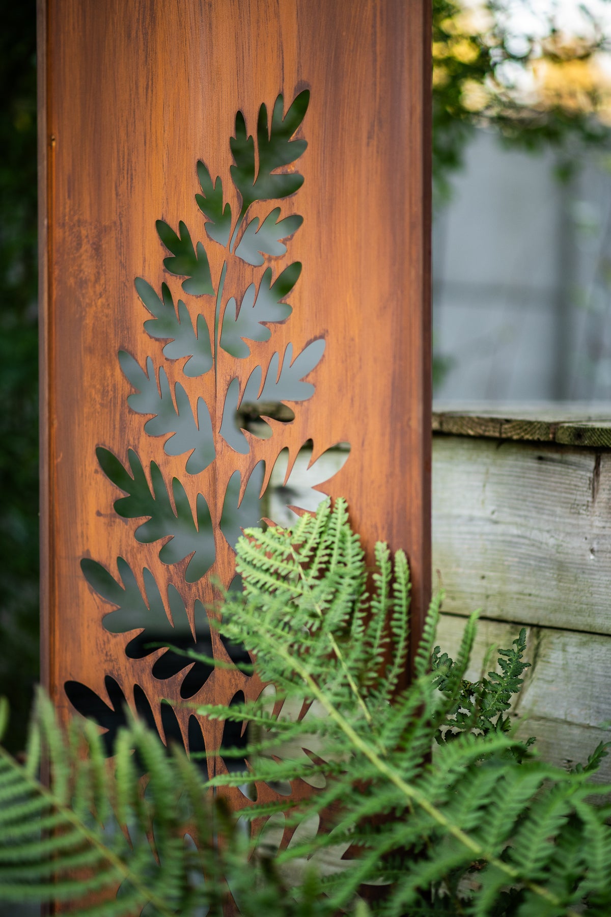 Panel ogrodowy Corten - Parawan z dużą paprocią 160 x 50 cm