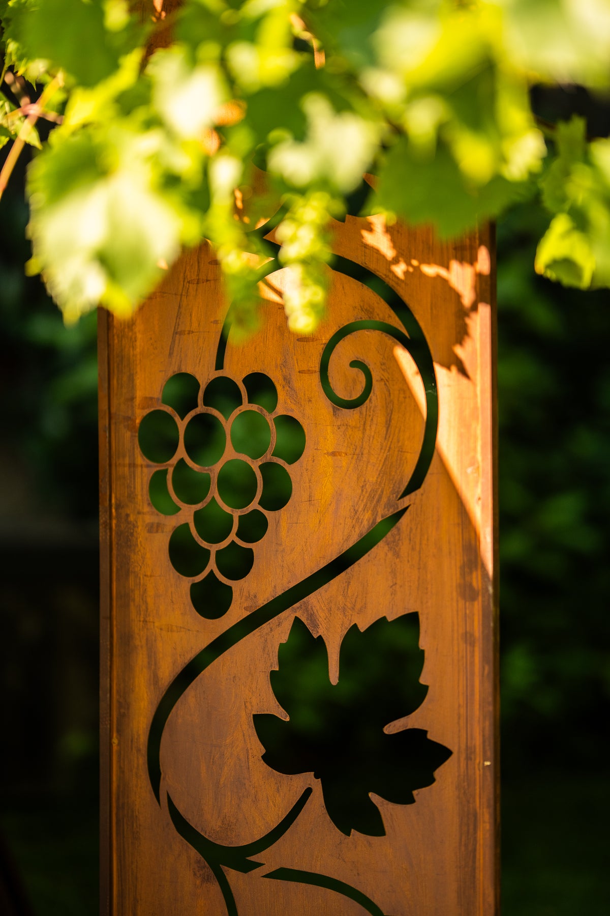 Panel ogrodowy Corten - Parawan z winoroślą 160 x 50 cm