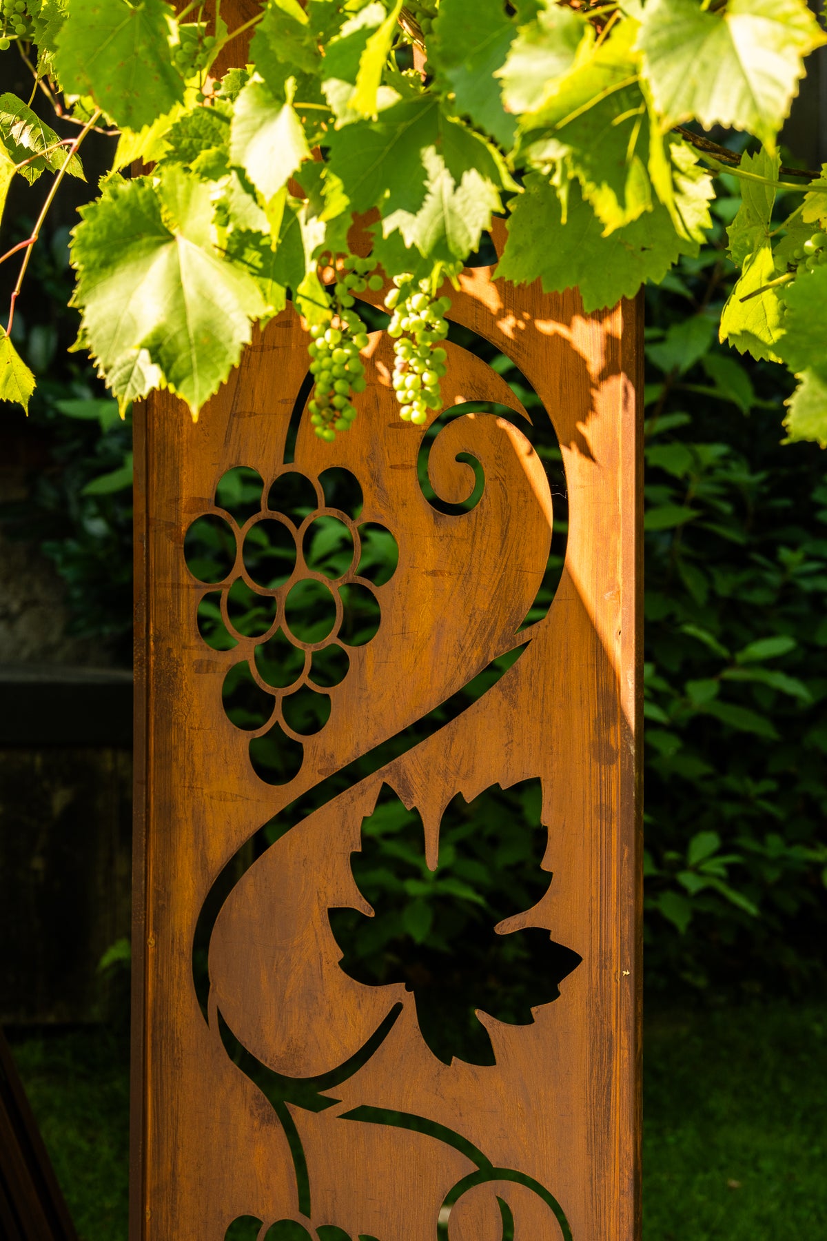 Panel ogrodowy Corten - Parawan z winoroślą 160 x 50 cm