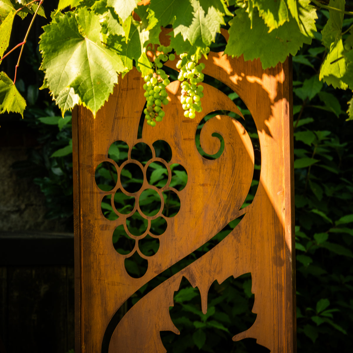 Panel ogrodowy Corten - Parawan z winoroślą 160 x 50 cm