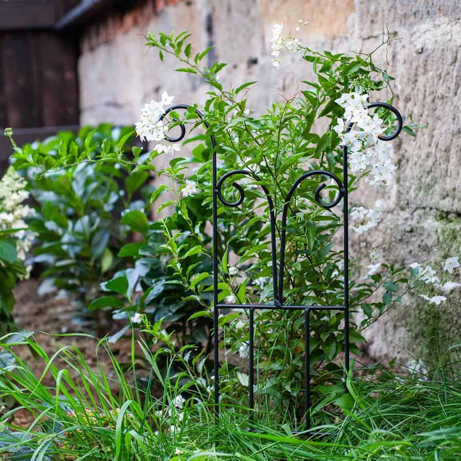 Metalowa podpora krata 60 cm stalowa do roślin pnących kwiatów pomidorów - zdjęcie 6 - Kapaga