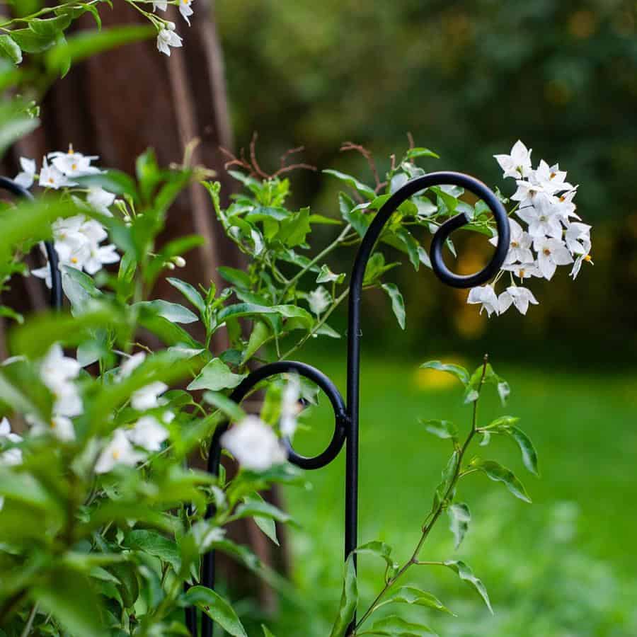 Metalowa podpora krata 60 cm stalowa do roślin pnących kwiatów pomidorów - zdjęcie 3 - Kapaga