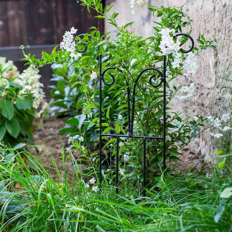 Metalowa podpora krata 60 cm stalowa do roślin pnących kwiatów pomidorów - zdjęcie 4 - Kapaga