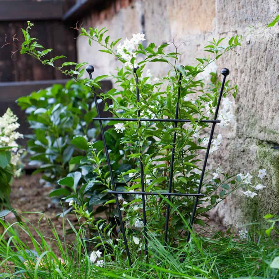 Metalowa podpora kratka 60 cm idealna dla pnączy kwiatów hortensji pomidorów - zdjęcie 4 - Kapaga
