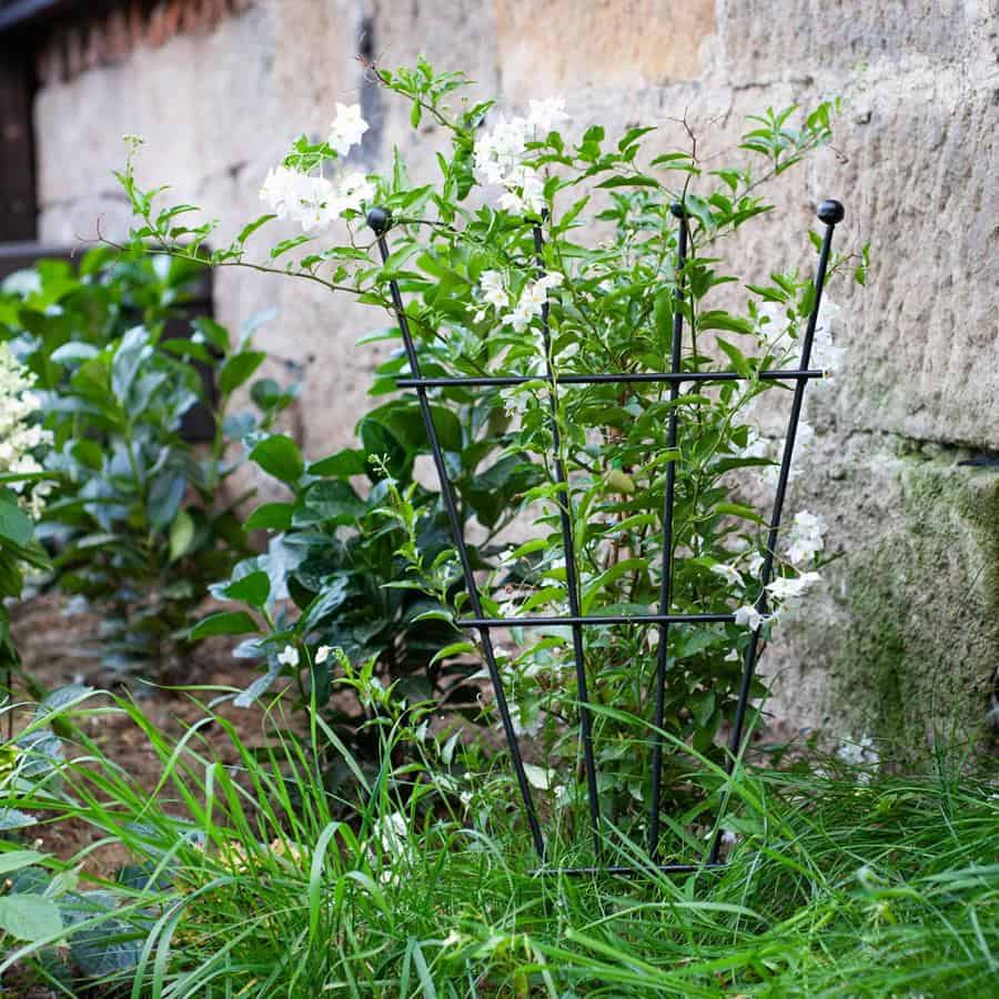 Metalowa podpora kratka 60 cm idealna dla pnączy kwiatów hortensji pomidorów - zdjęcie 5 - Kapaga