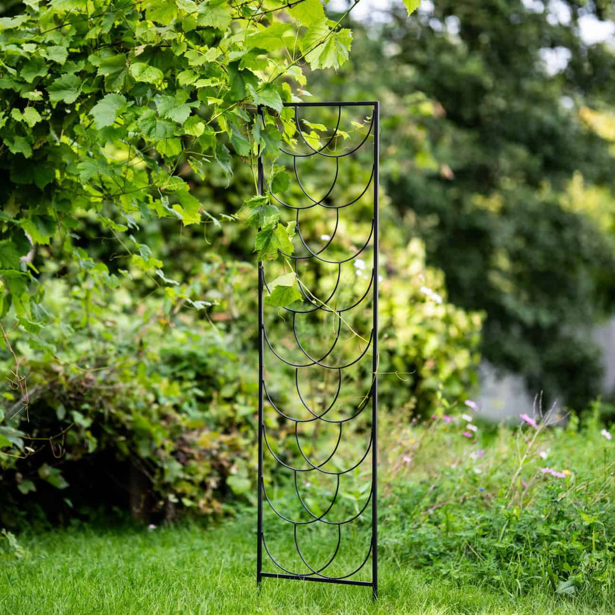 Krata do Krzewów Róży 200 cm - Czarna Podpora Metalowa do Pnączy i Krzewów - zdjęcie 2 - Kapaga