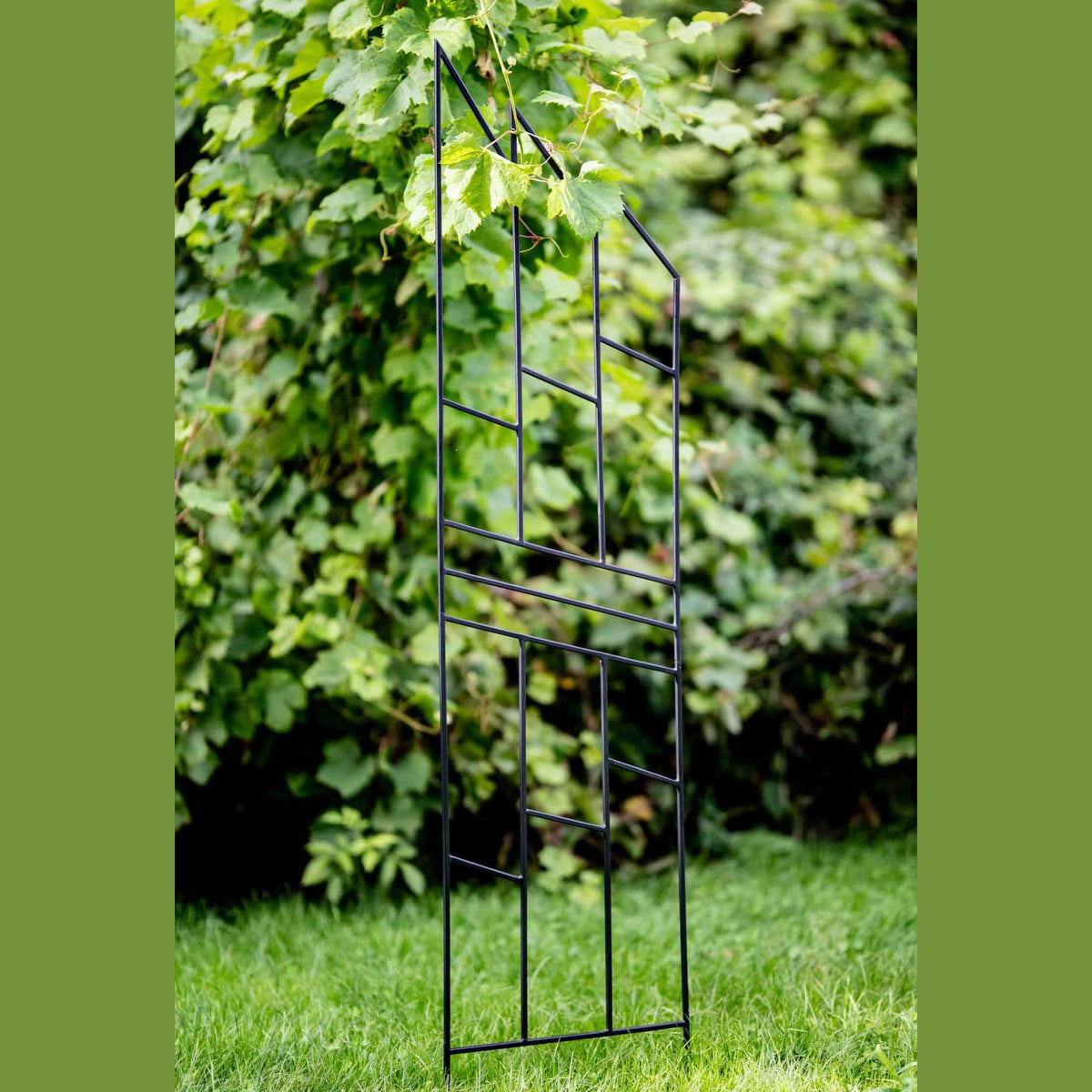 Pergola Ogrodowa Krata 200 cm - Metalowa Podpora do Pnączy i Krzewów - zdjęcie 4 - Kapaga
