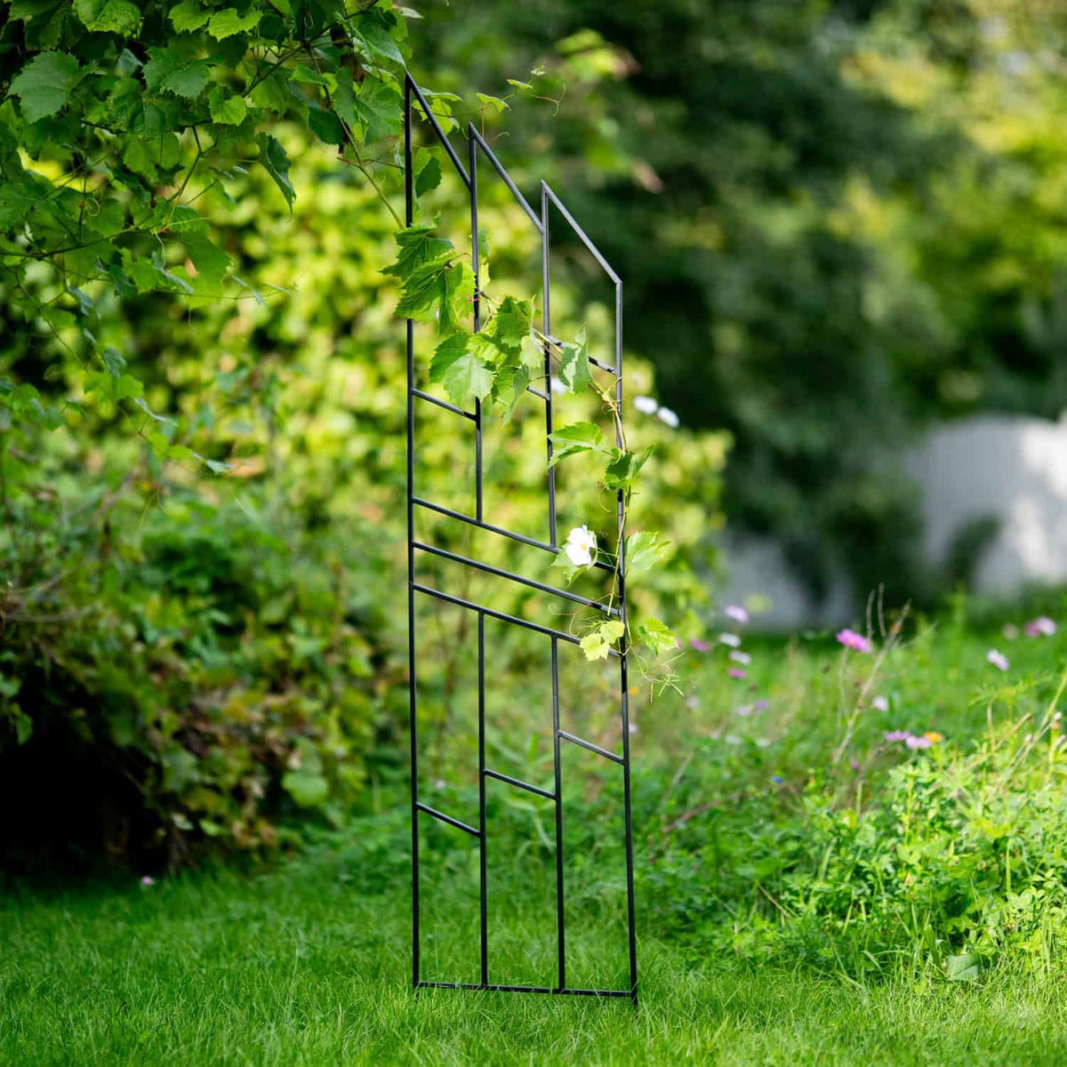 Pergola Ogrodowa Krata 200 cm - Metalowa Podpora do Pnączy i Krzewów - zdjęcie 6 - Kapaga