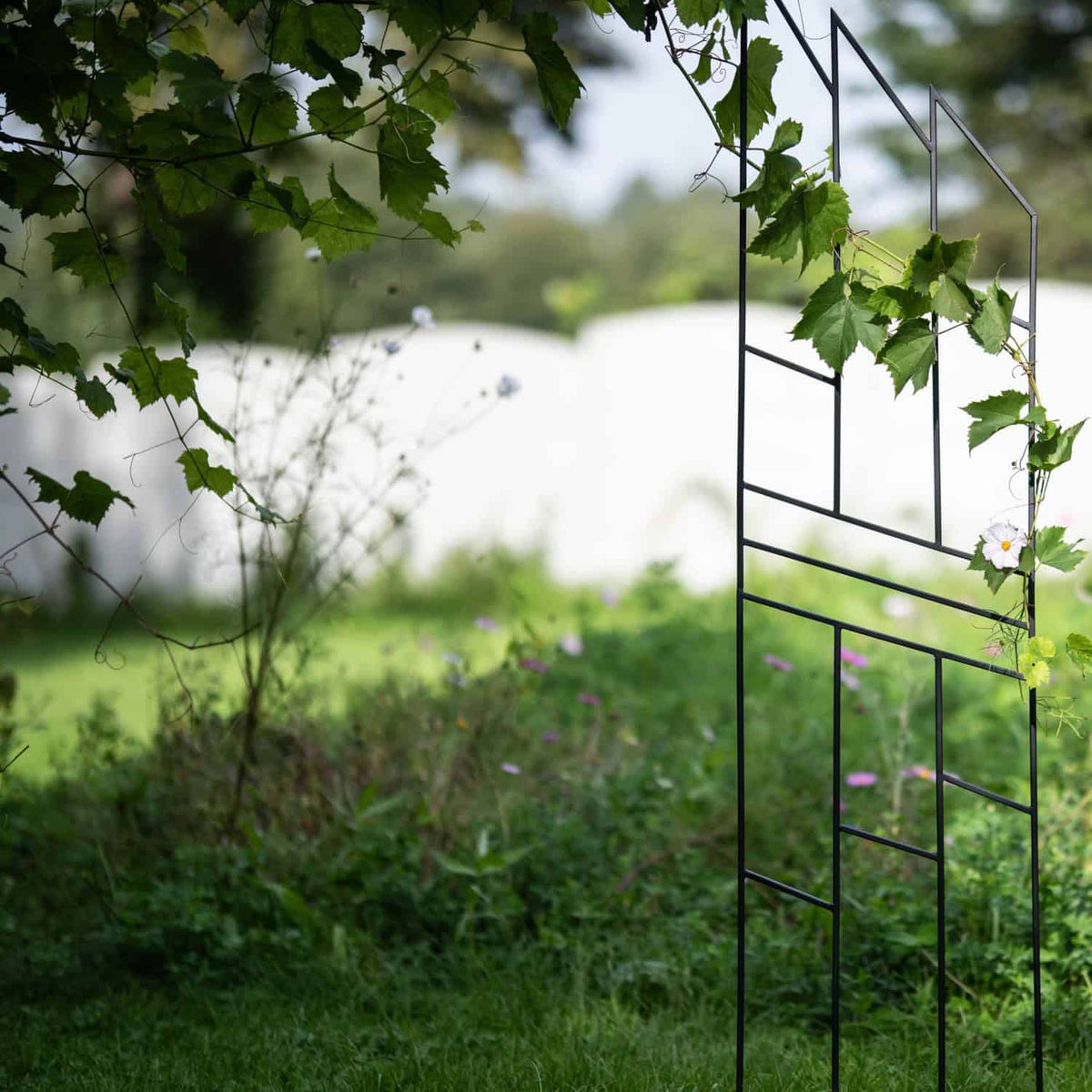 Pergola Ogrodowa Krata 200 cm - Metalowa Podpora do Pnączy i Krzewów - zdjęcie 10 - Kapaga