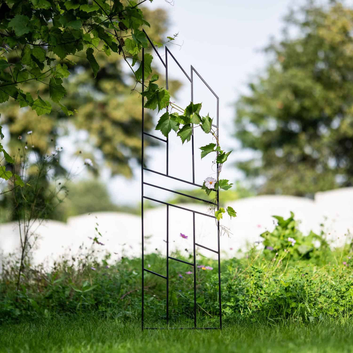 Pergola Ogrodowa Krata 200 cm - Metalowa Podpora do Pnączy i Krzewów - zdjęcie 11 - Kapaga