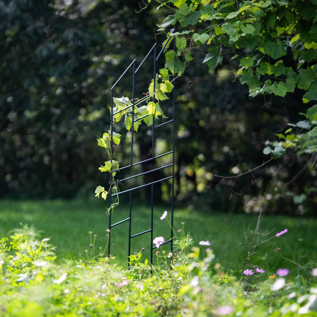 Pergola Ogrodowa Krata 200 cm - Metalowa Podpora do Pnączy i Krzewów - Kapaga