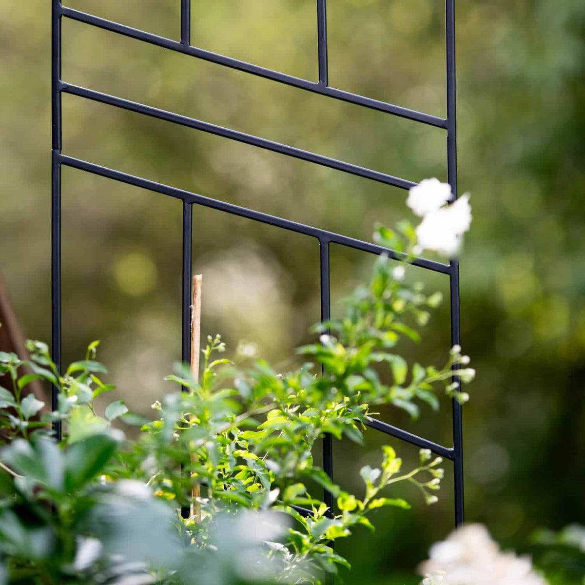 Pergola Ogrodowa Krata 200 cm - Metalowa Podpora do Pnączy i Krzewów - zdjęcie 13 - Kapaga