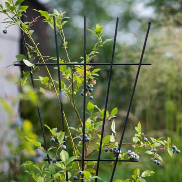 Metalowa podpora kratka 100 cm idealna dla pnączy kwiatów hortensji pomidorów - Kapaga