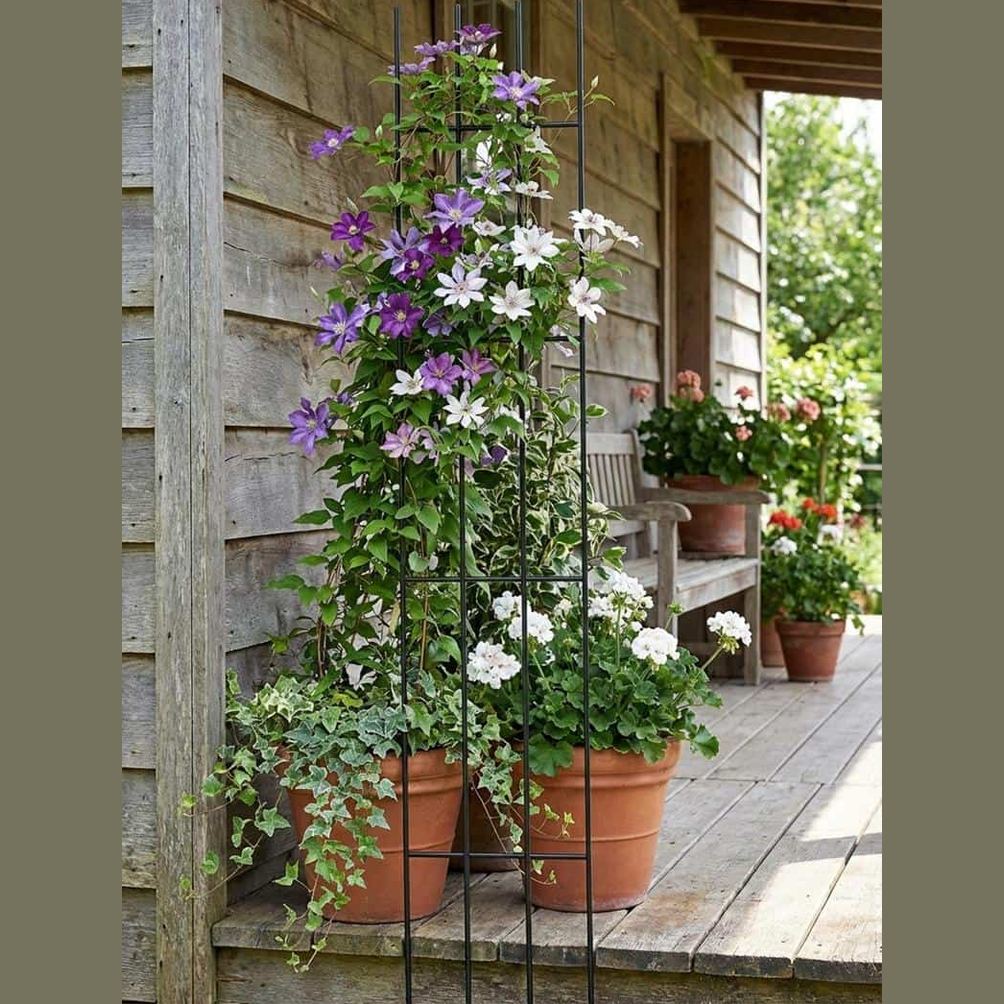 Czarna Metalowa Kratka do Roślin Pnących 150 cm - Zestaw 3 Sztuk, Róży, Winogrono - zdjęcie 2 - Kapaga