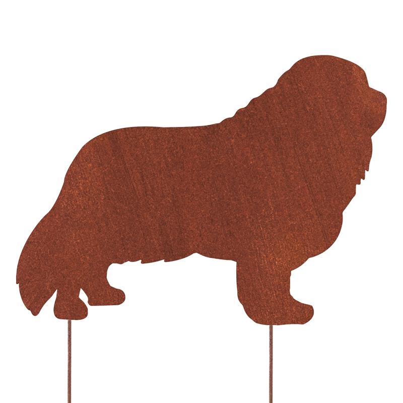 Cavalier King Charles Spaniel - Metalowa Dekoracja Ogrodowa ze Stali Corten - Kapaga