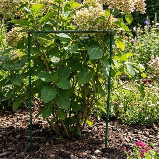 Zielona Podpora do Roślin 70 cm - Idealna do Pomidorów, Warzyw i Krzewów Pnących - zdjęcie 2 - Kapaga
