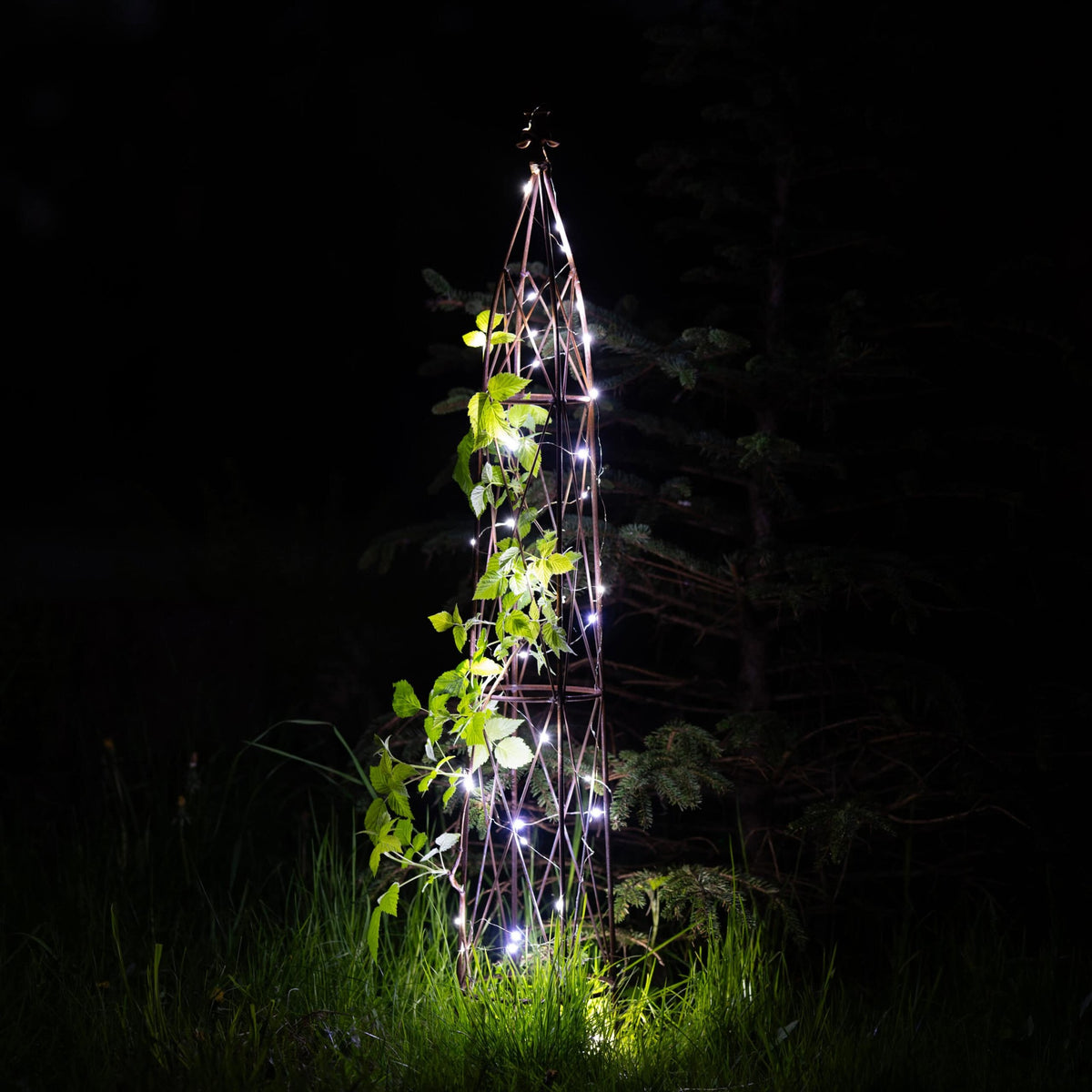 Metalowy Obelisk Piramida Pergola do Róż - Różne wysokości - zdjęcie 2 - Kapaga