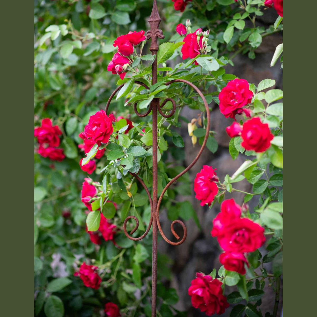 Rustykalna Pergola Ogrodowa 150 cm - Idealna dla Pnączy, Róż i Kwiatów - zdjęcie 14 - Kapaga